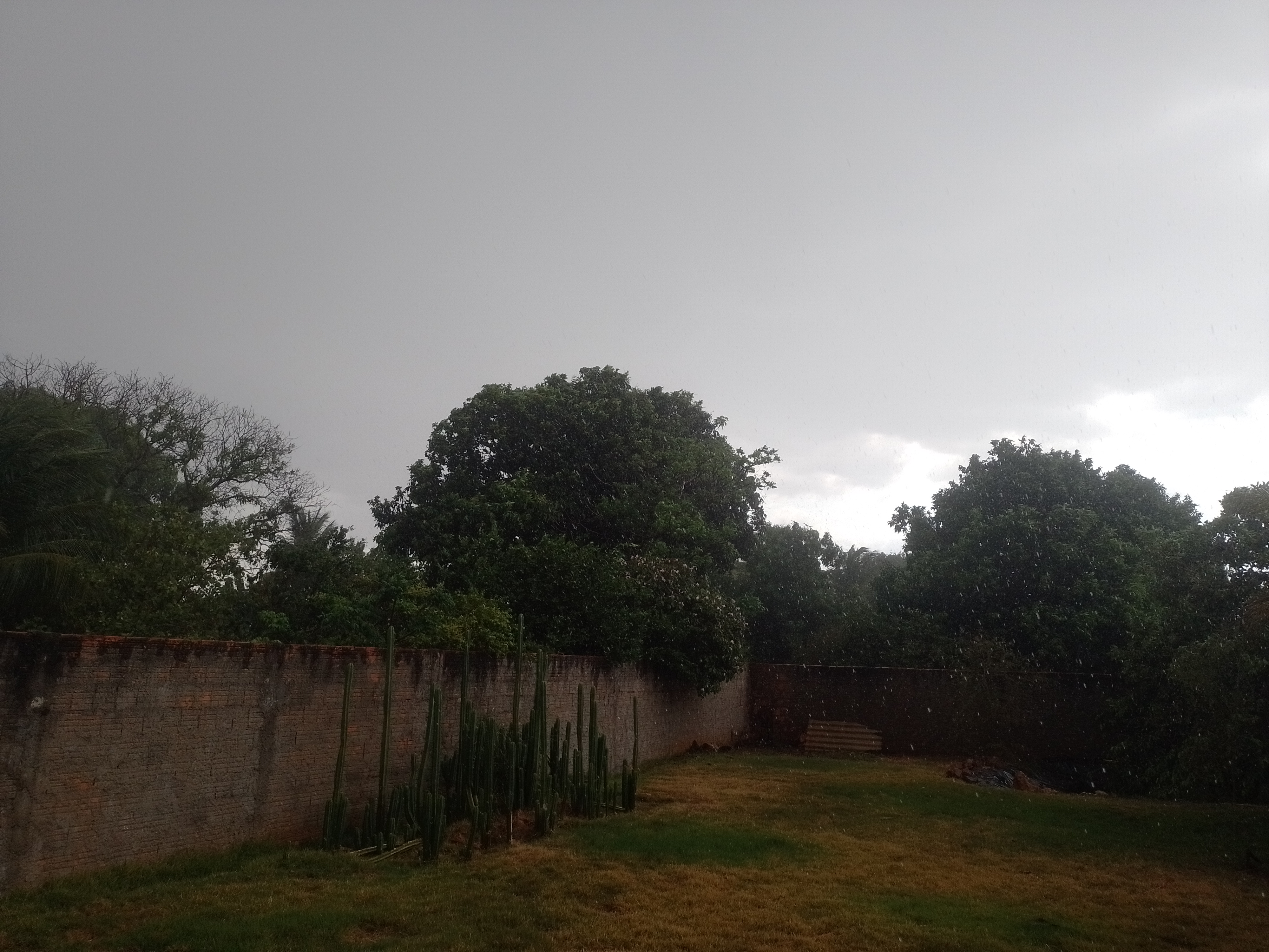 🌧️ Finalmente a chuva chega em Ouro Branco do Sul! 🌧️💧