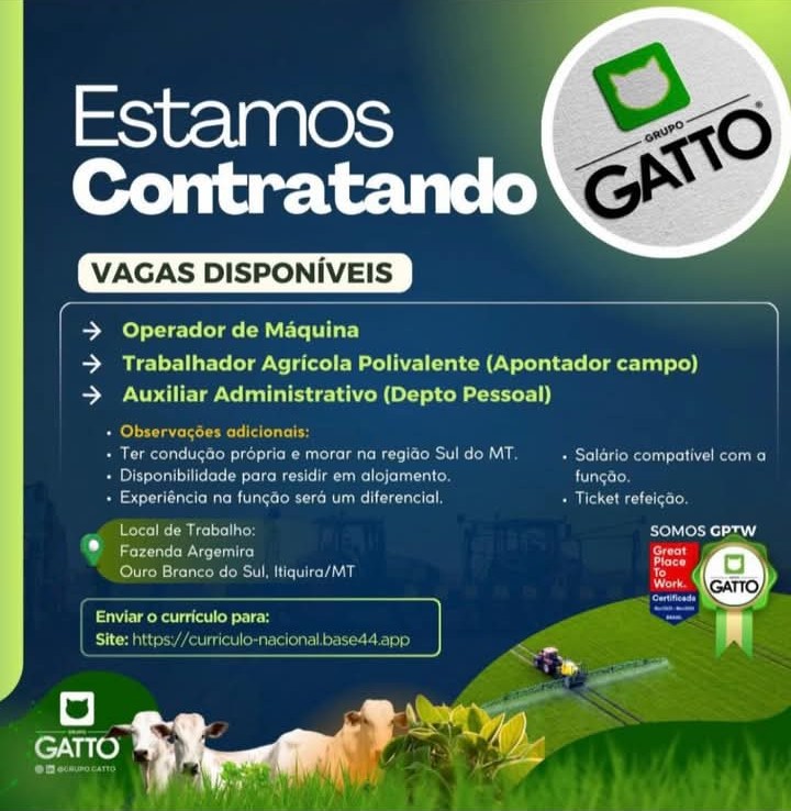 Grupo Gatto Abre Processo Seletivo para Vagas no Setor Agrícola em Mato Grosso